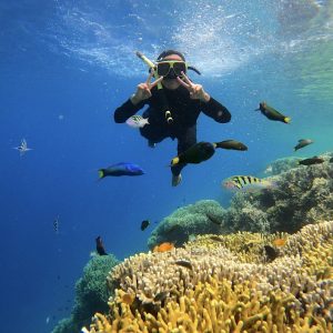 Snorkeling menjangan tabuhan