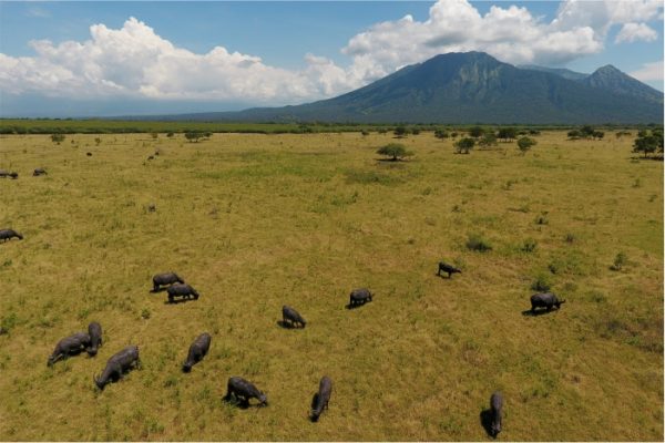 paket wisata baluran