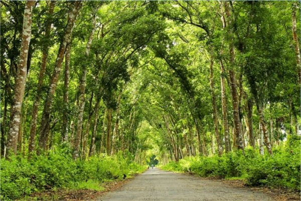 Paket Wisata Banyuwangi 2 Hari 1 Malam – Paket D