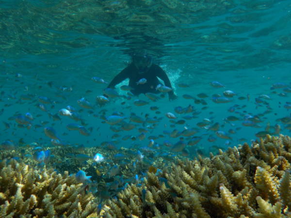 Open Trip Menjangan Tabuhan