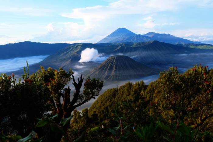 Open Trip Bromo Midnight Start Malang