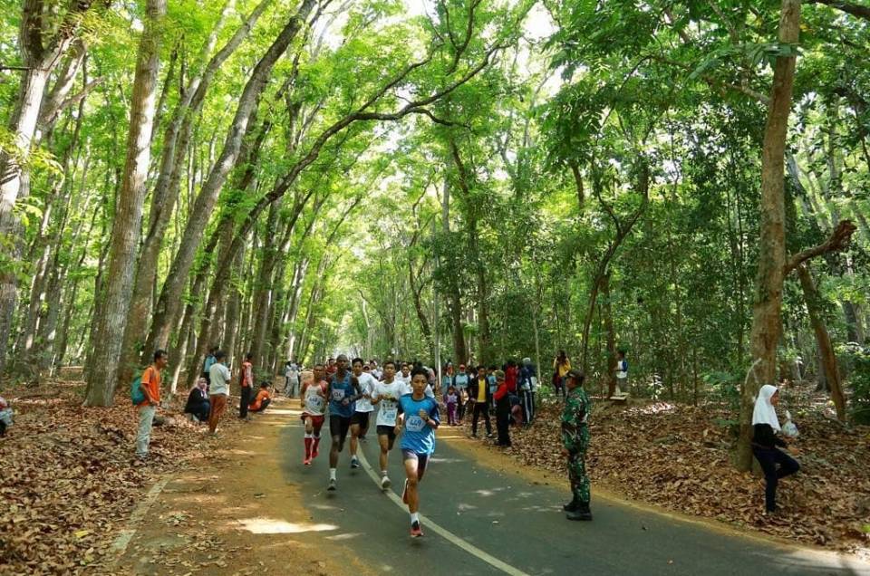 Alas Purwo Geopark Green Run 2019, Sensasi Berlari di Cagar Biosfer Dunia