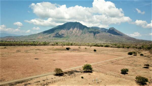 Open Trip Baluran