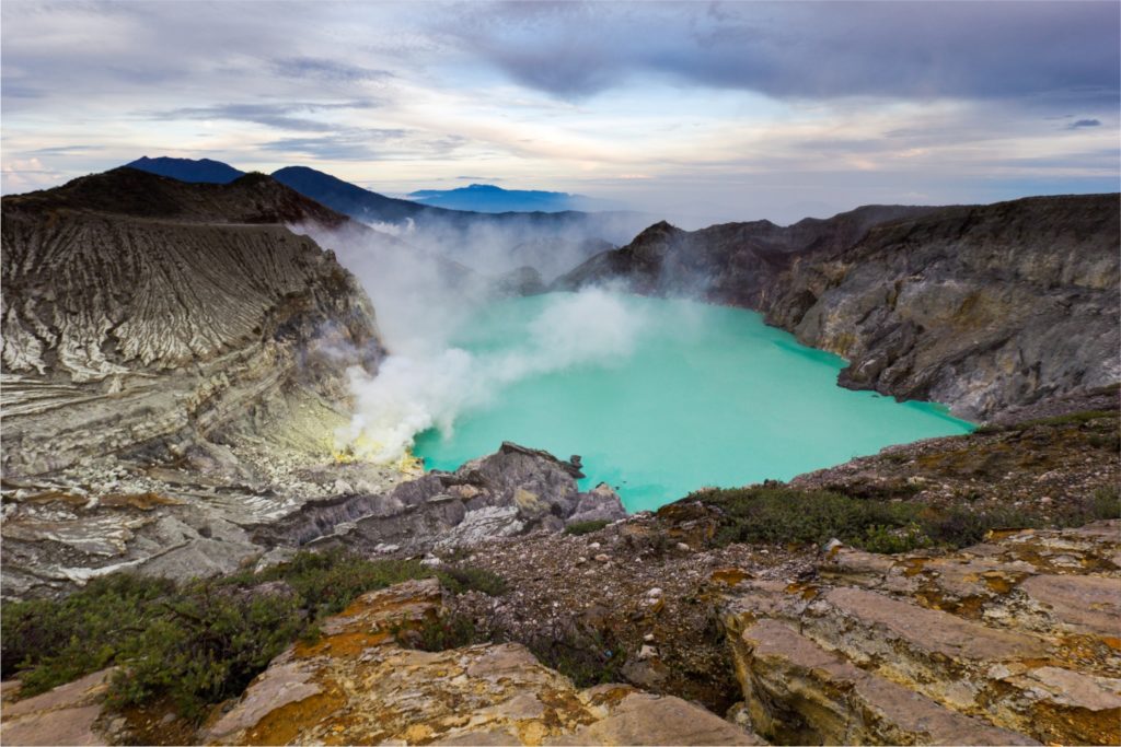 Kenekaragaman Hayati Taman Wisata Alam Kawah Ijen