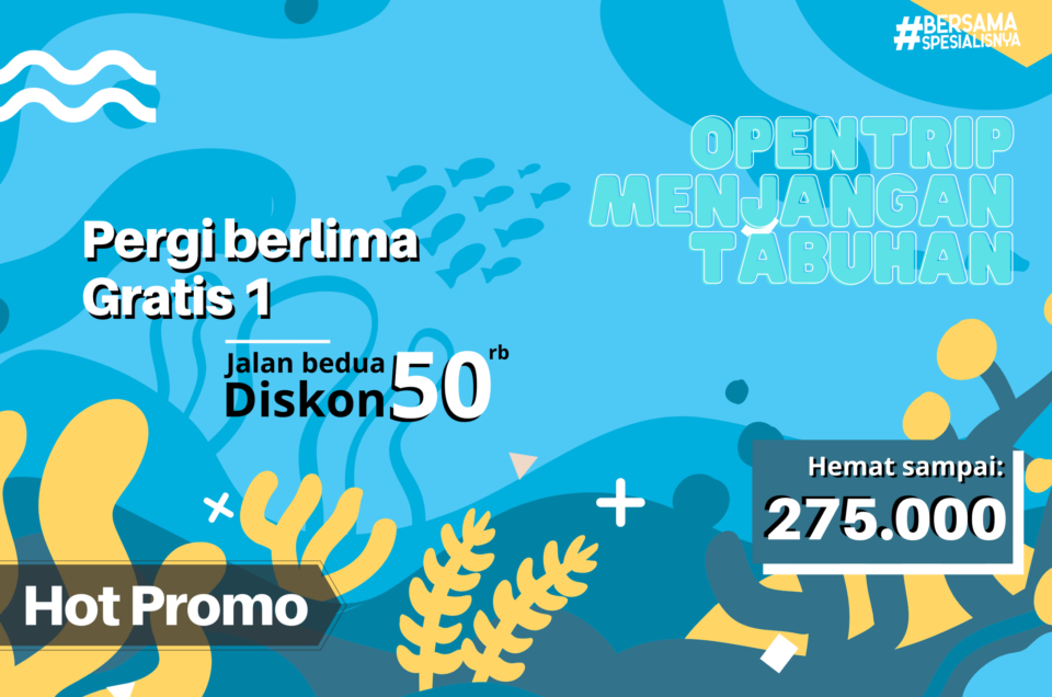 Anti worry karena diskon sampai 275.000 dengan promo Open Trip Menjangan Tabuhan