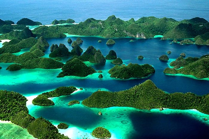 Open Trip Raja Ampat 4 Hari 3 Malam