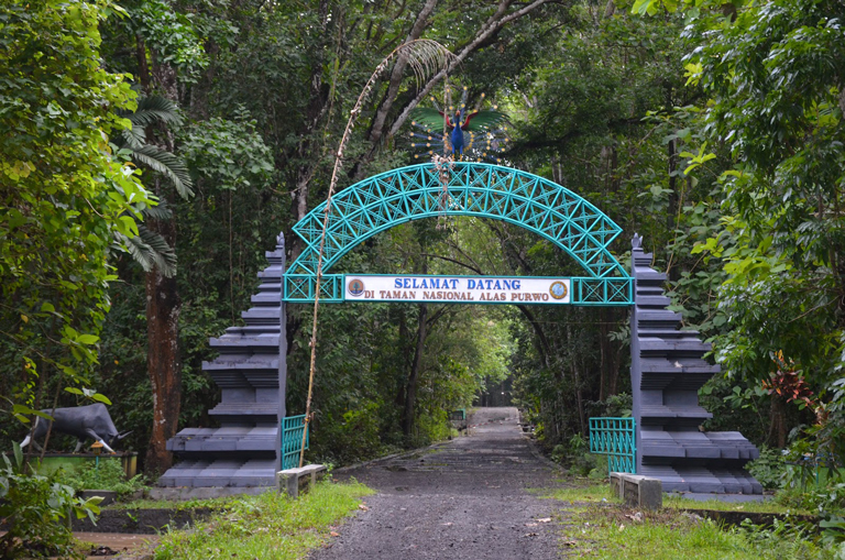 Inilah Mengapa Taman Nasional Alas Purwo Dijuluki Hutan Mistis