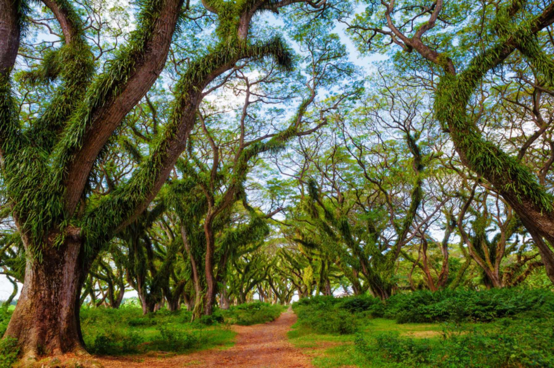 10 Wisata Instagramable di Banyuwangi, Cocok untuk Libur Nataru!