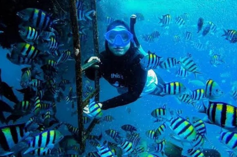 Berenang Bareng Hiu!, Serunya Wisata di Bangsring Underwater