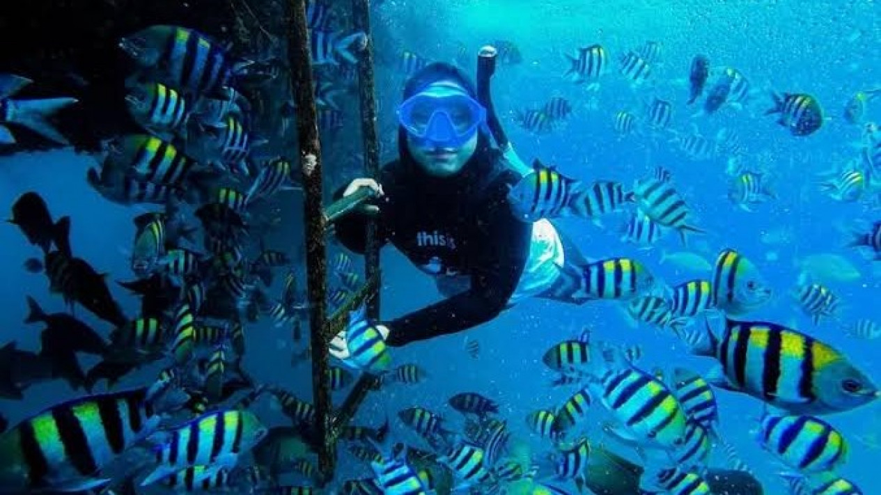 Berenang Bareng Hiu! Serunya Wisata di Bangsring Underwater