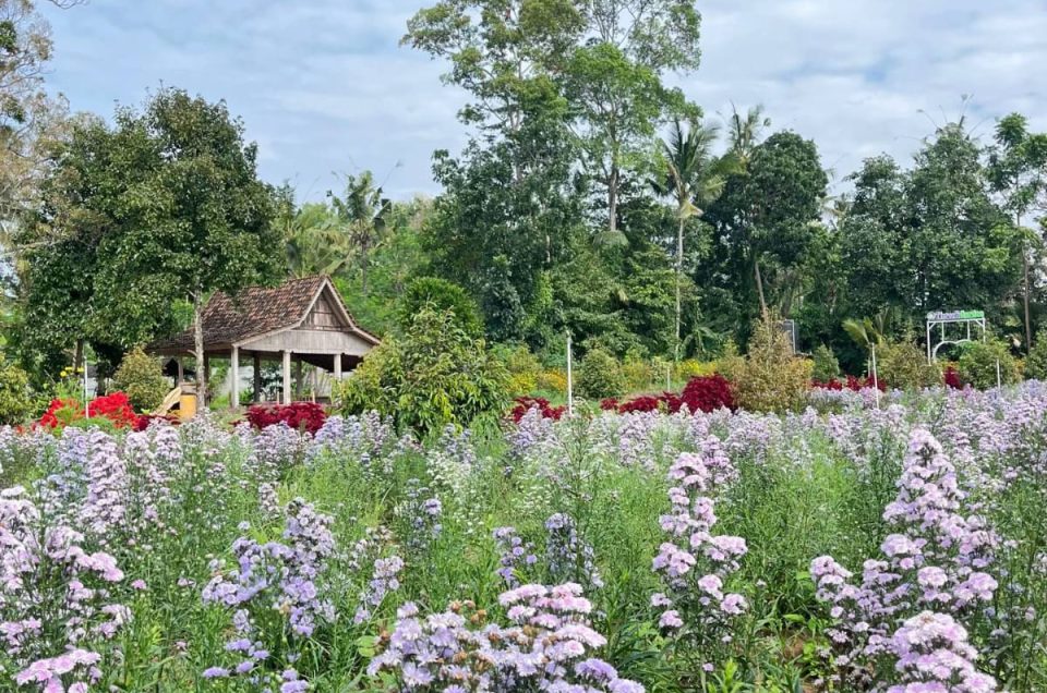 Three B Garden, Wisata Bunga Cantik di Banyuwangi!