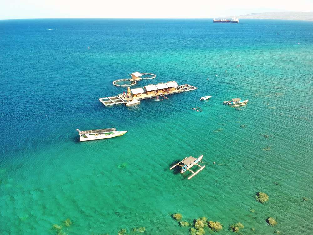 Dari Tabuhan ke Bangsring, Serunya Paket Wisata Banyuwangi!