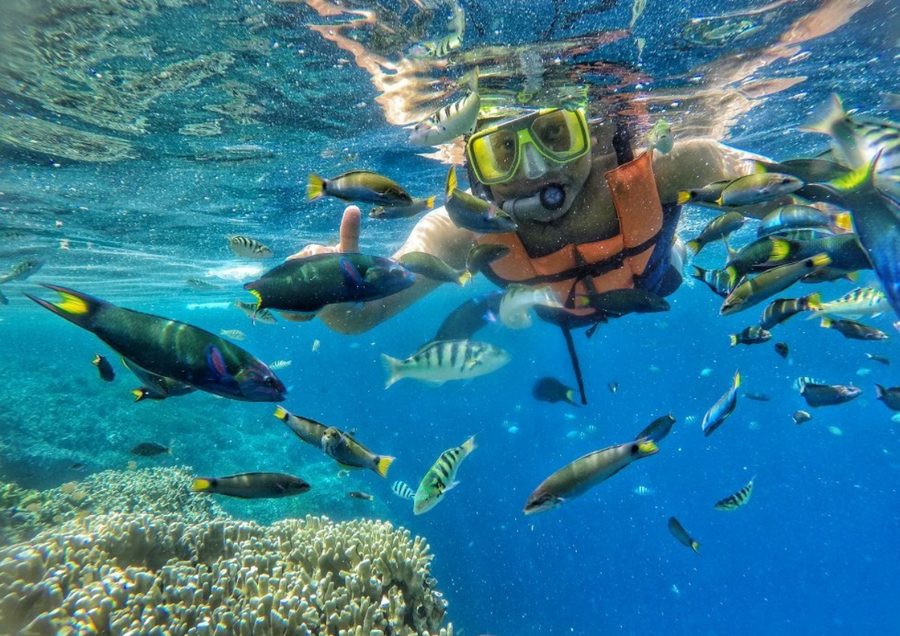 Pulau Tabuhan Super Jernih!, Spot Snorkeling yang Bikin Nagih!