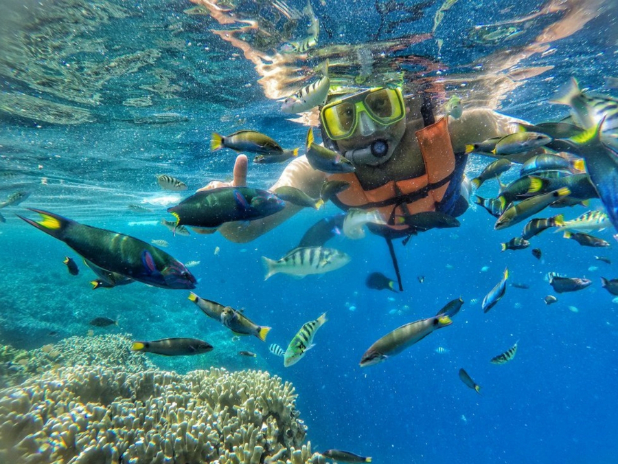 Pulau Tabuhan Super Jernih!, Spot Snorkeling yang Bikin Nagih!