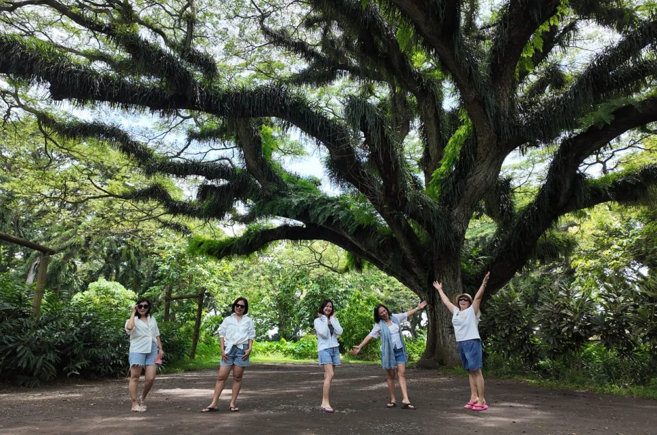 Liburan Alam 2D1N Komplet, Trip Banyuwangi Djawatan Baluran