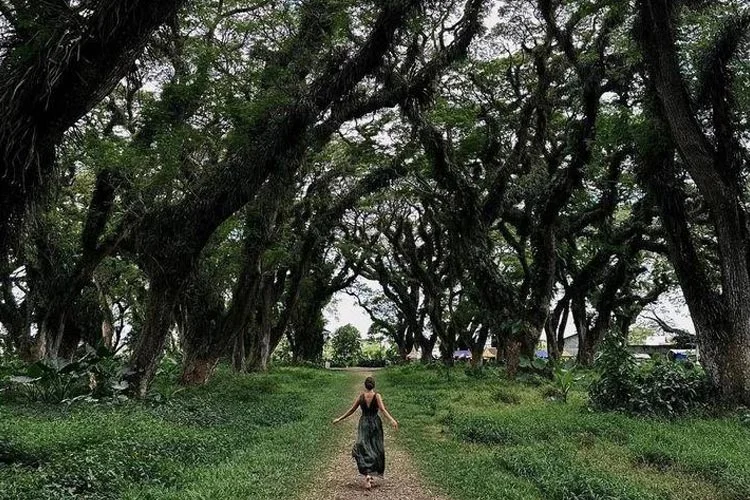 Pengalaman Liburan Alam Seru, Open Trip Djawatan Baluran