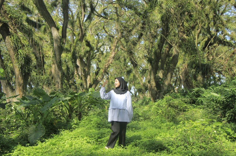 Keseruan Open Trip Djawatan Baluran, Safari Alam yang Beda