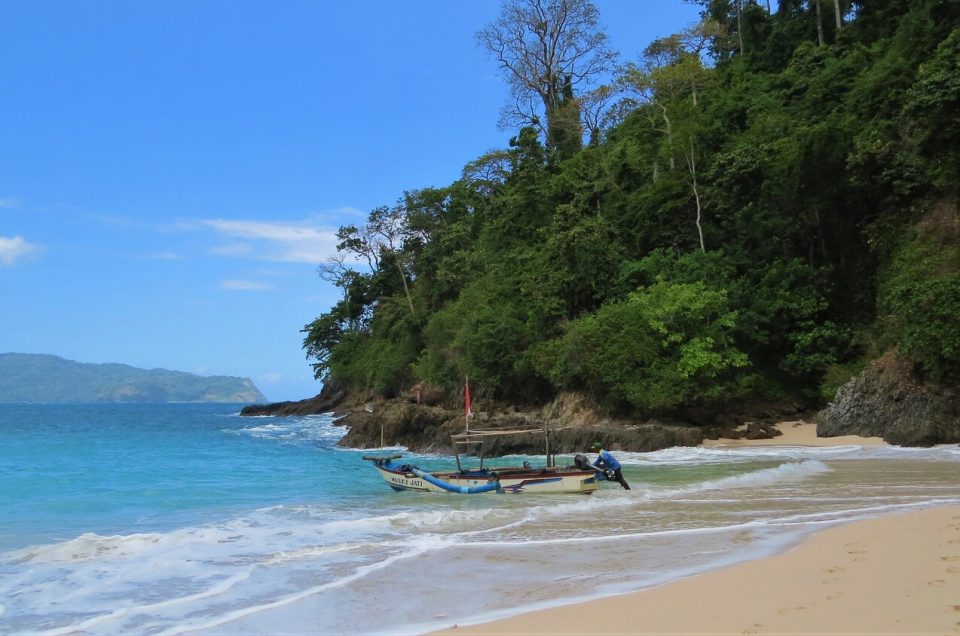 Serunya green bay banyuwangi, Paket Trip Bareng Yukbanyuwangi