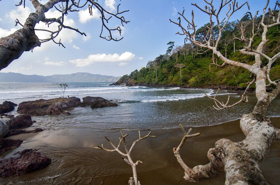 Tiket Masuk Pantai Rajegwesi, Liburan Hemat di Banyuwangi