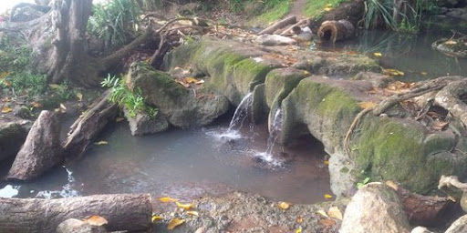Goa Jepang Alas Purwo Terkenal, Menelusuri Kisah Goa Istana
