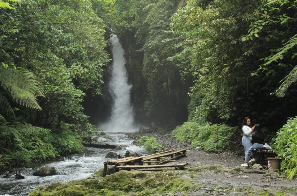Daya Tarik Air Terjun Telunjuk Raung, Alam Hijau yang Memesona