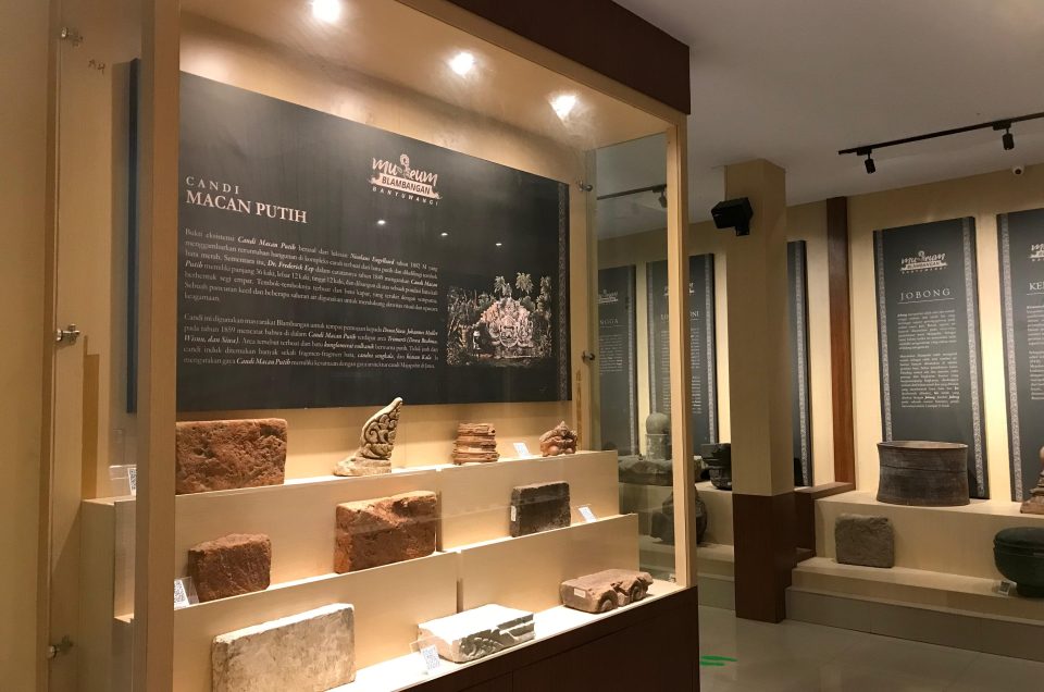 Keunikan Museum Blambangan, Koleksinya Bikin Takjub