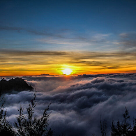 bromo tour from malang
