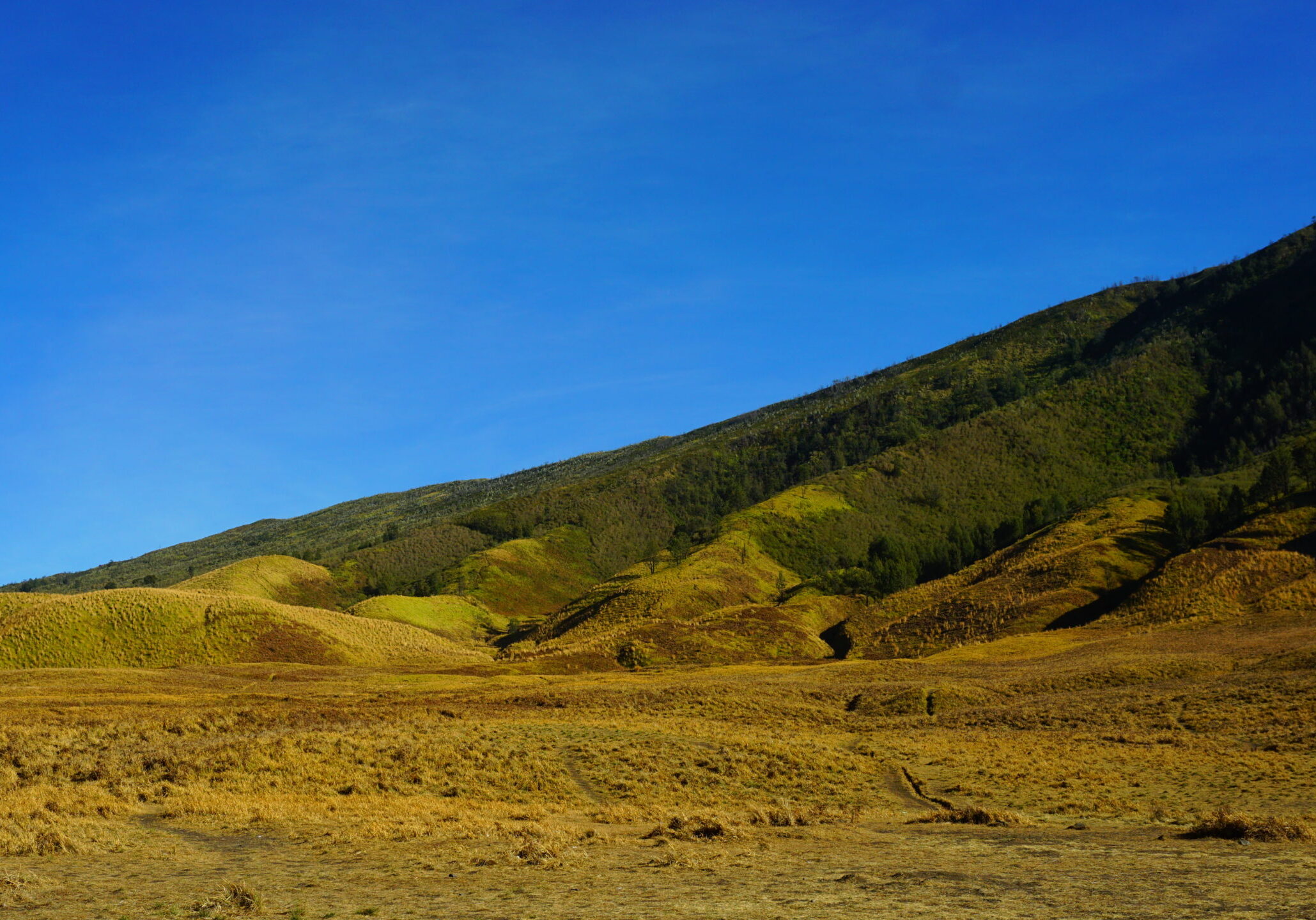 paket wisata bromo